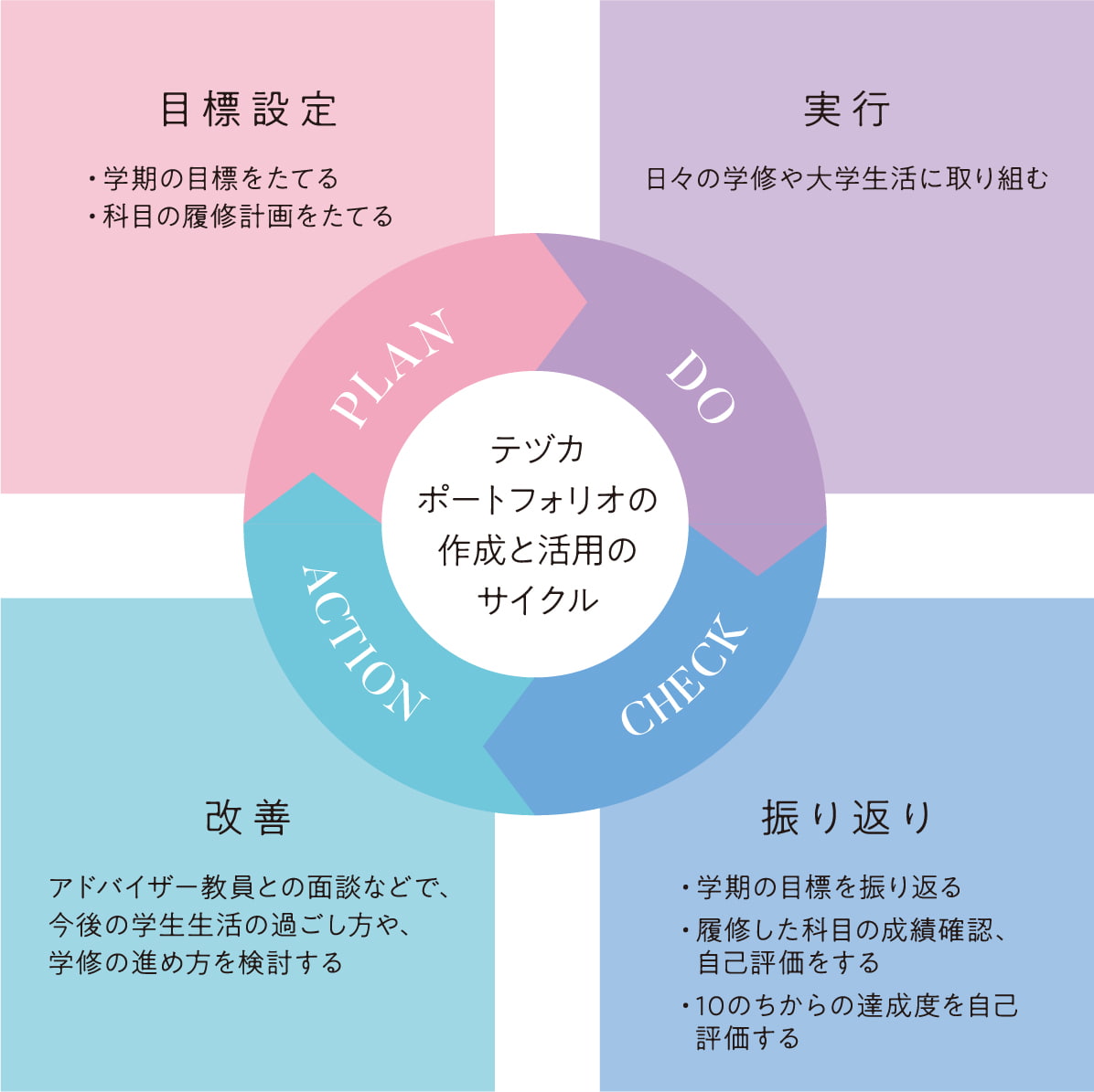 テヅカポートフォリオの作成と活用のサイクル
