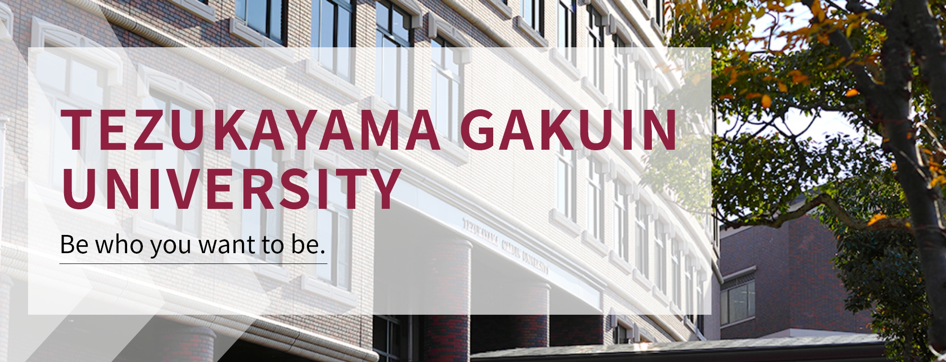 Tezukayama Gakuin University