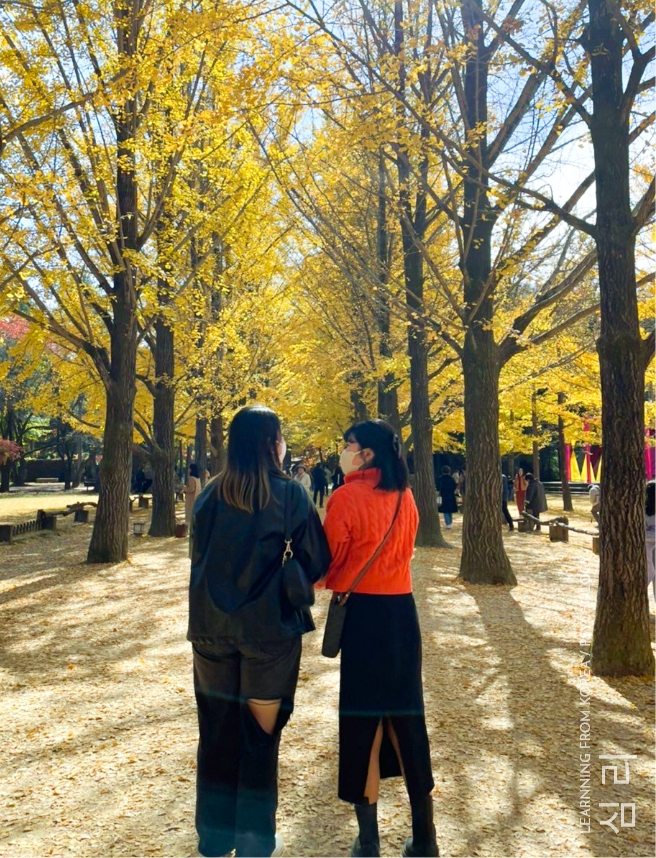 心理から学ぶ