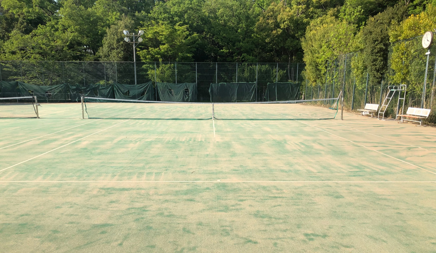 ソフトテニス