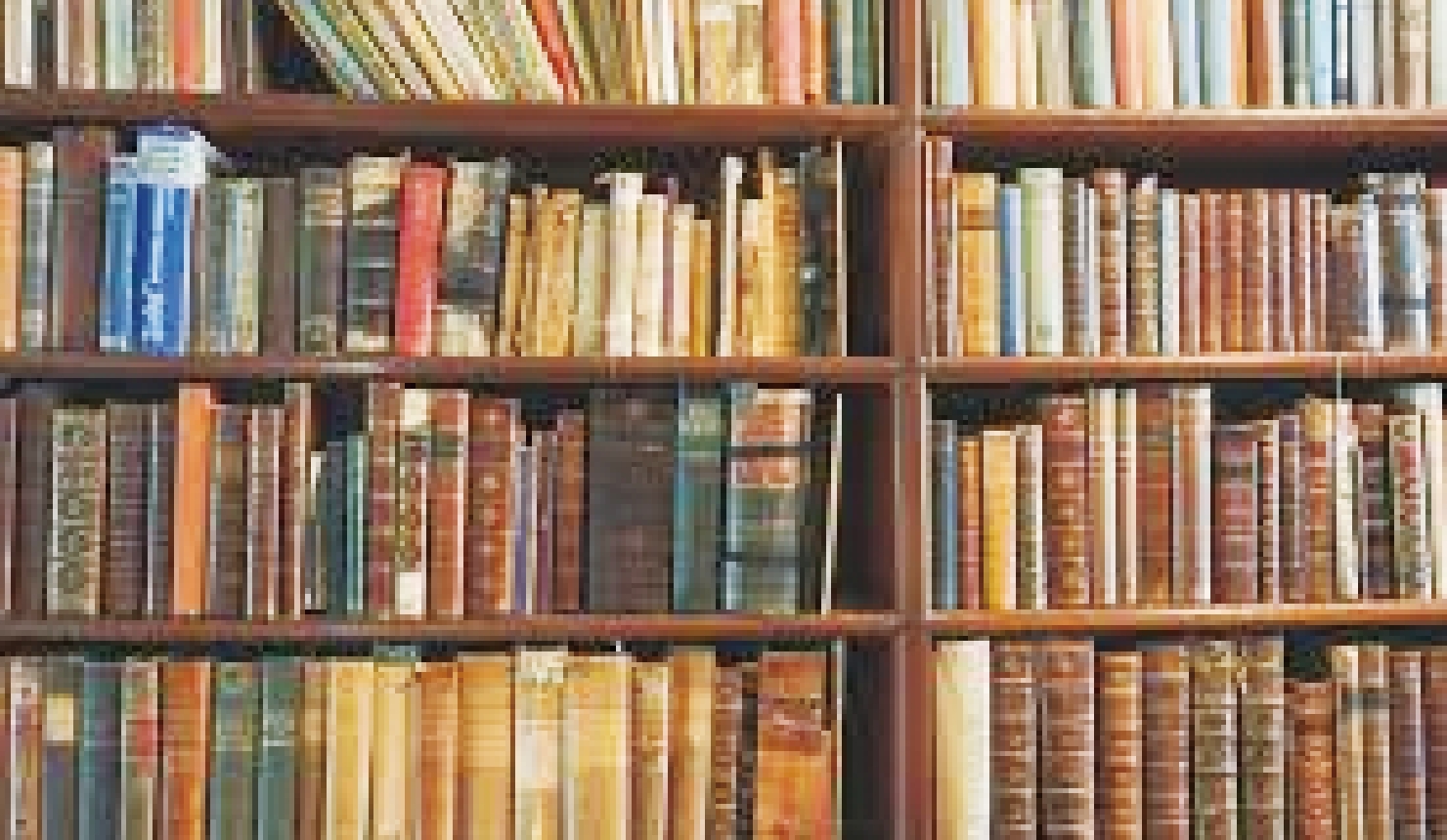 読書同好会