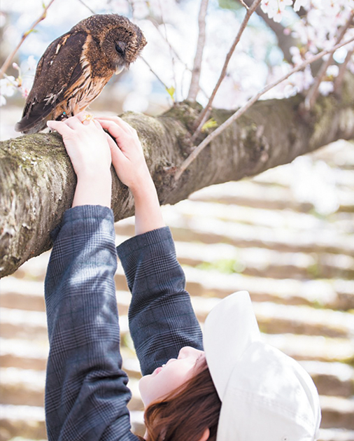 飼っているフクロウ