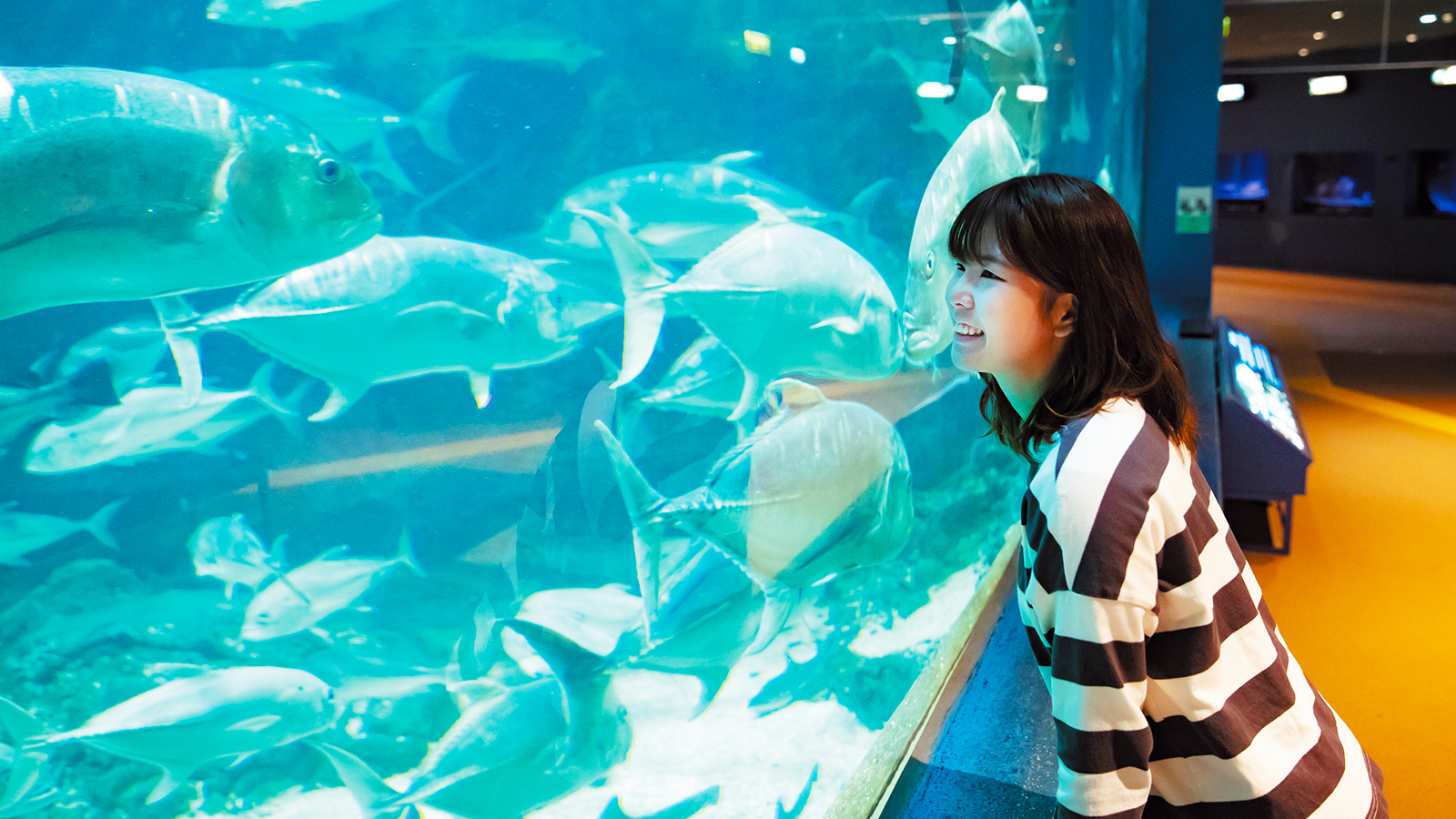 水族館の飼育員と心理学の関係